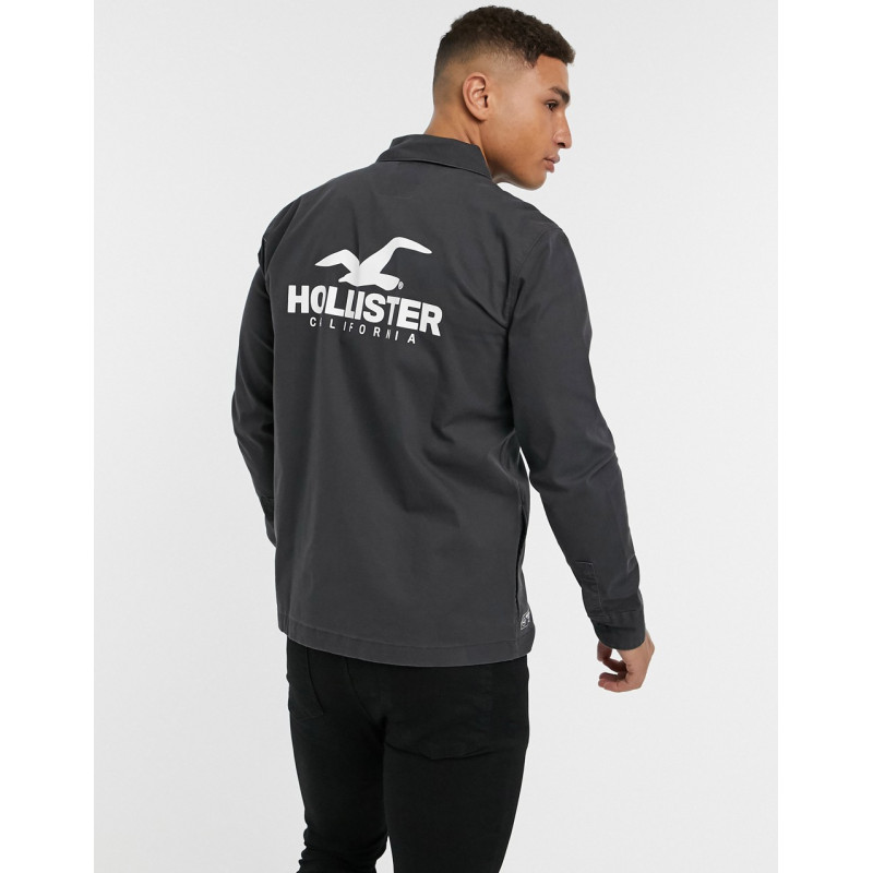 Hollister back logo full...