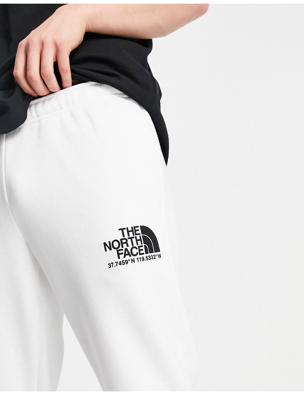 The North Face Logo +...