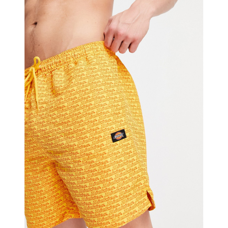 Dickies Cave Point shorts...