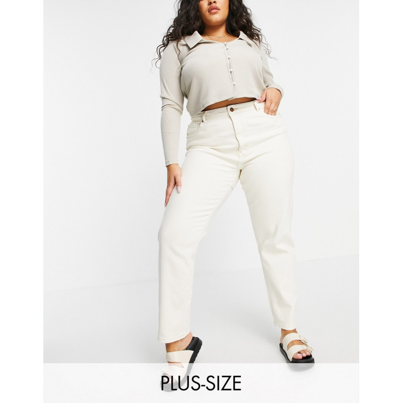 Only Curve Veneda mom jeans...