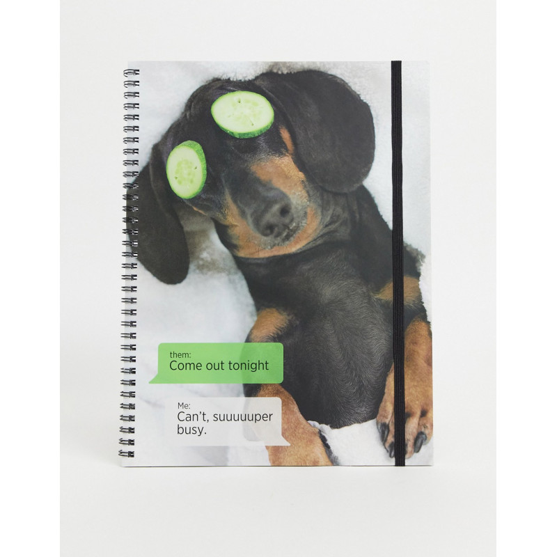 Typo A4 notepad with dachshund