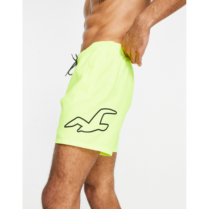Hollister swimshorts in...