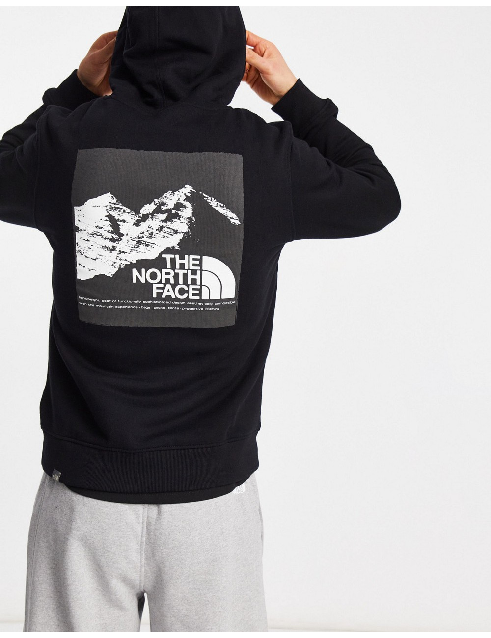The North Face Back Graphic...