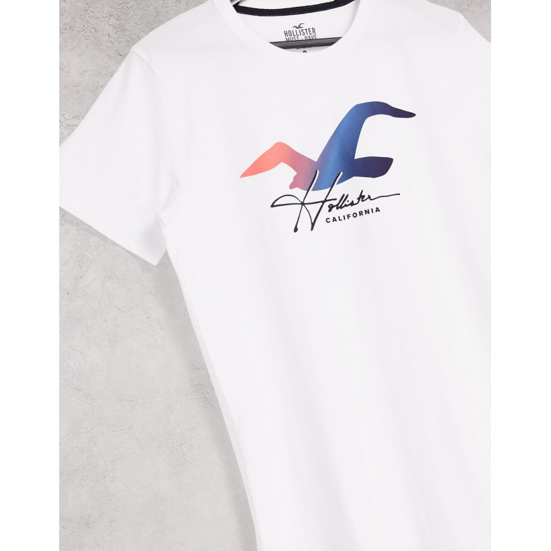 Hollister seagull logo...