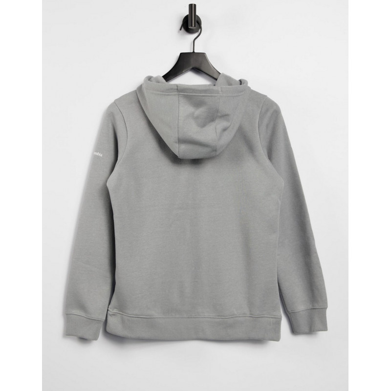 Columbia Logo hoodie in grey