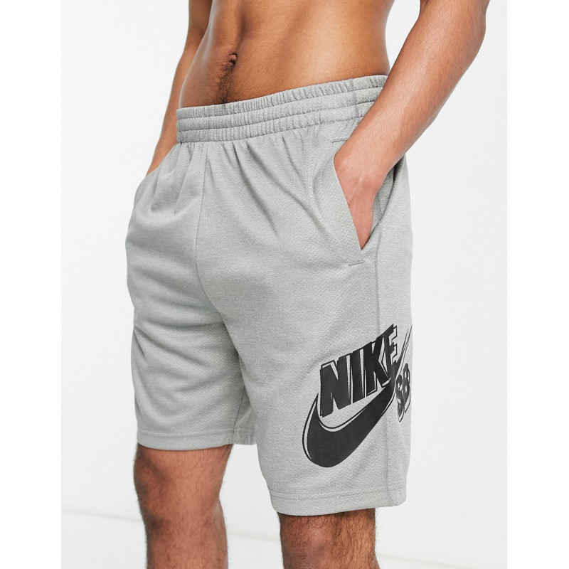 Nike SB Sunday shorts in grey