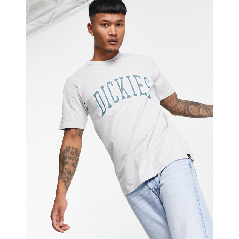 Dickies Aitkin t-shirt in grey