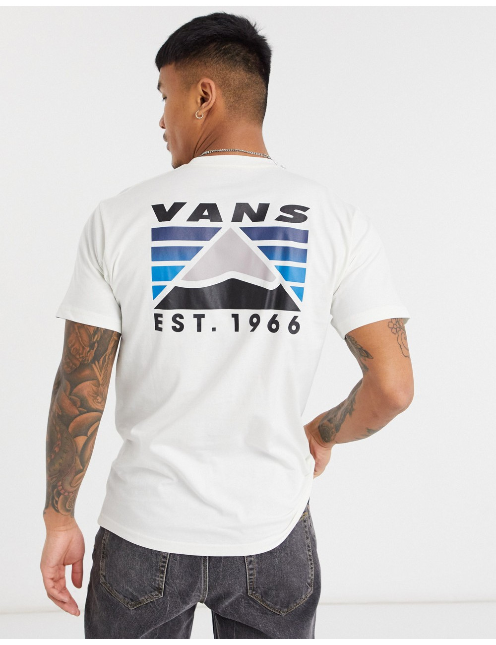 Vans Mountain back print...