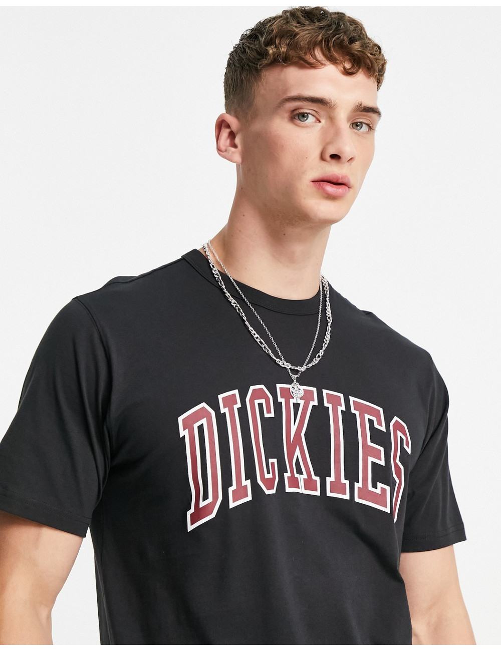 Dickies Aitkin t-shirt in...