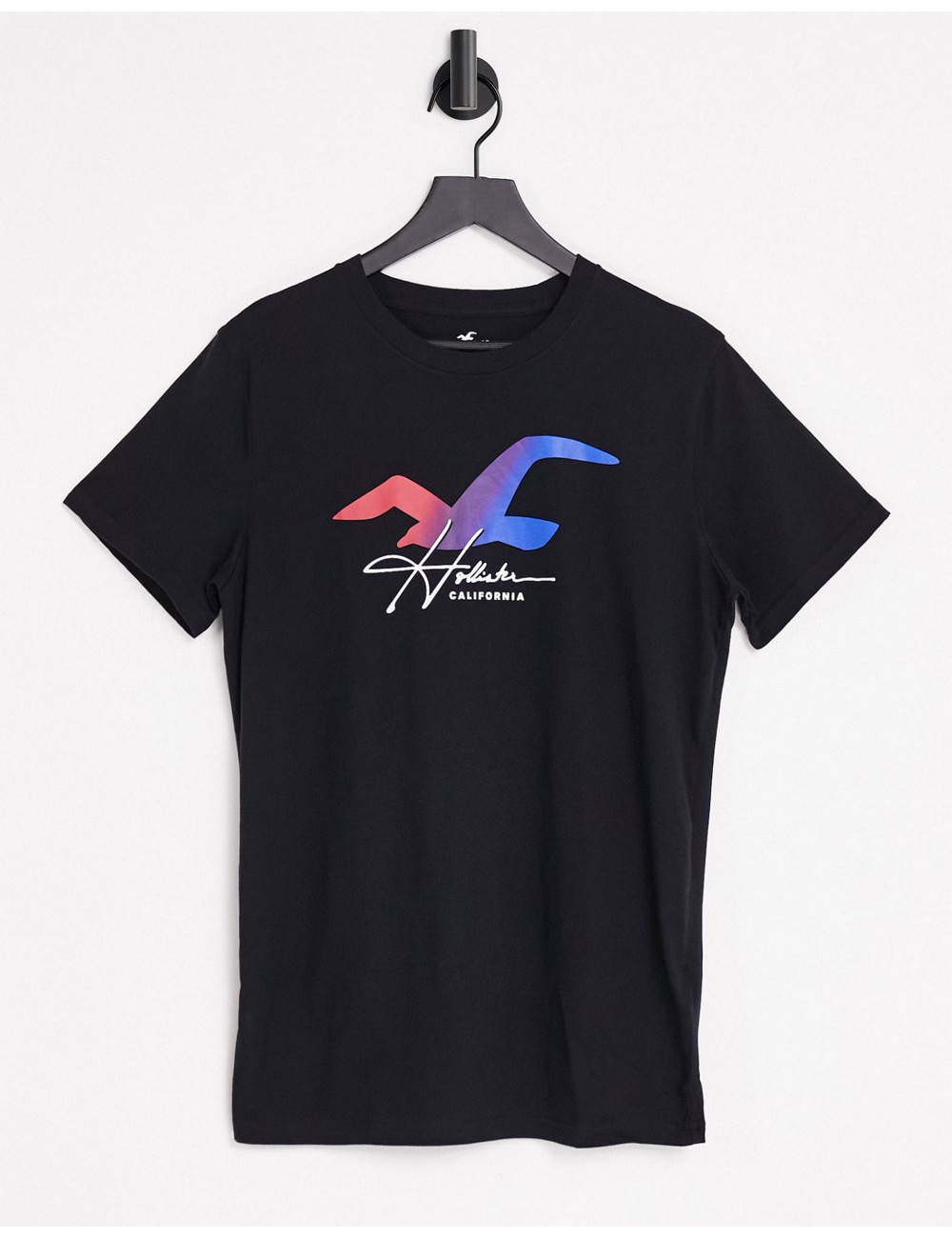 Hollister ombre seagull...
