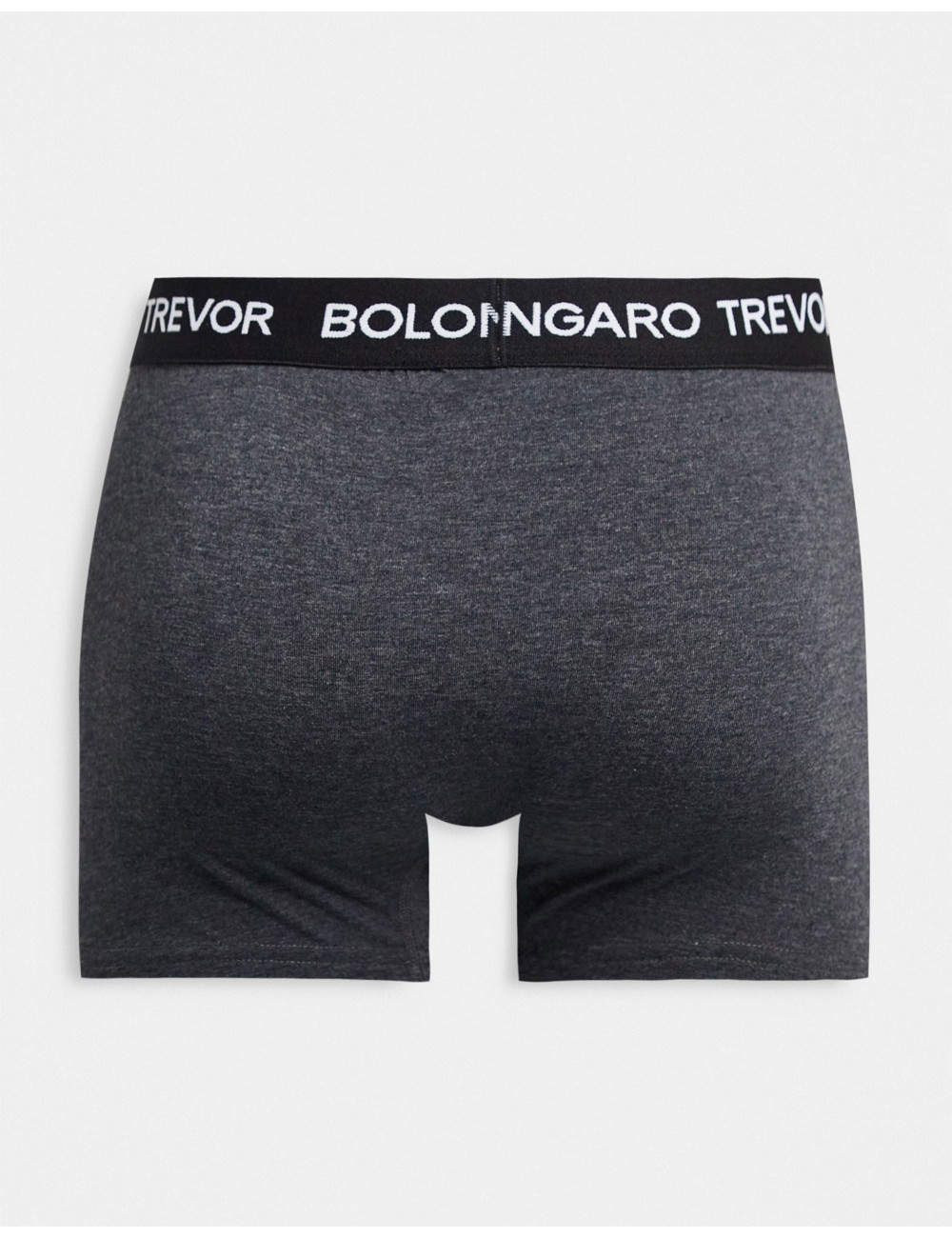Bolongaro Trevor boxer...