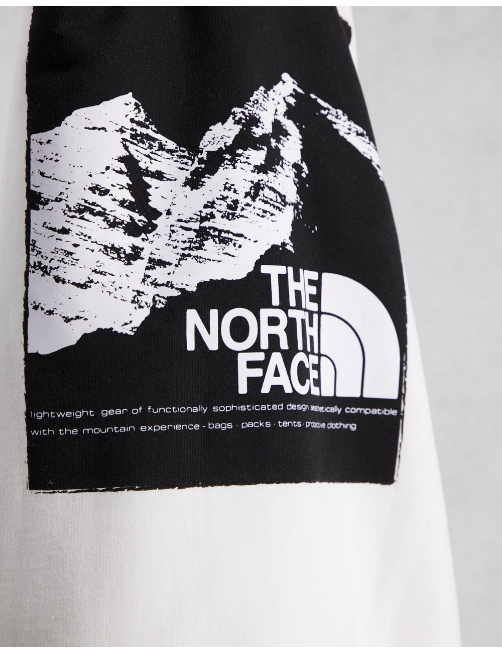 The North Face Graphic...