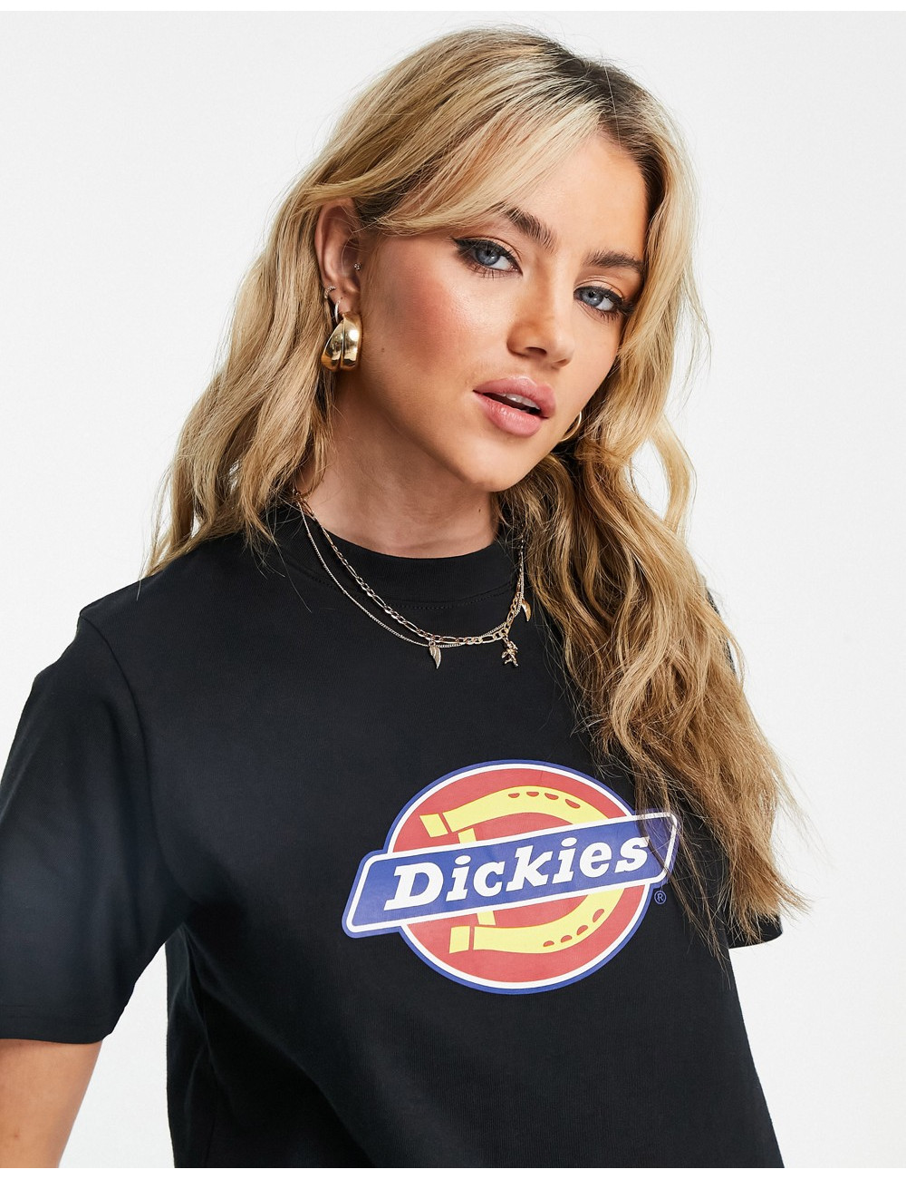 Dickies Icon Logo t-shirt...