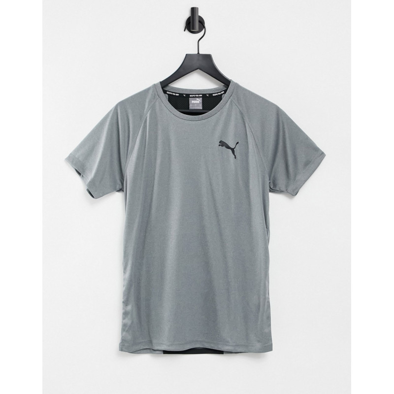 Puma RTG tshirt in grey